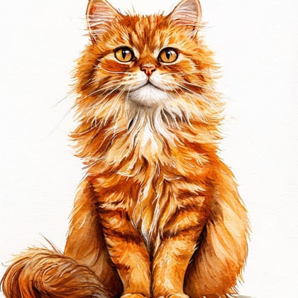 кошка